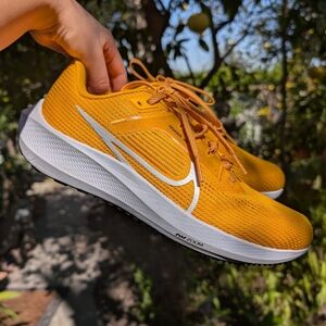 Nike Pegasus Air Zoom (Women sz 9)